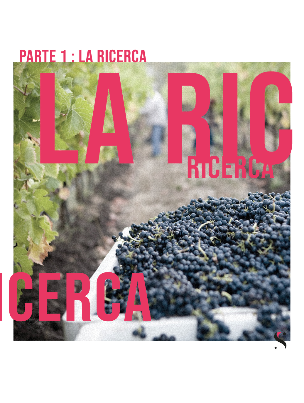 Ricerca marketing del vino